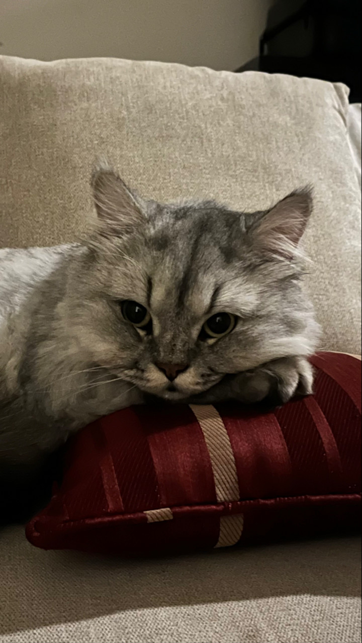 محتوى سناب شات لـ Ruba.