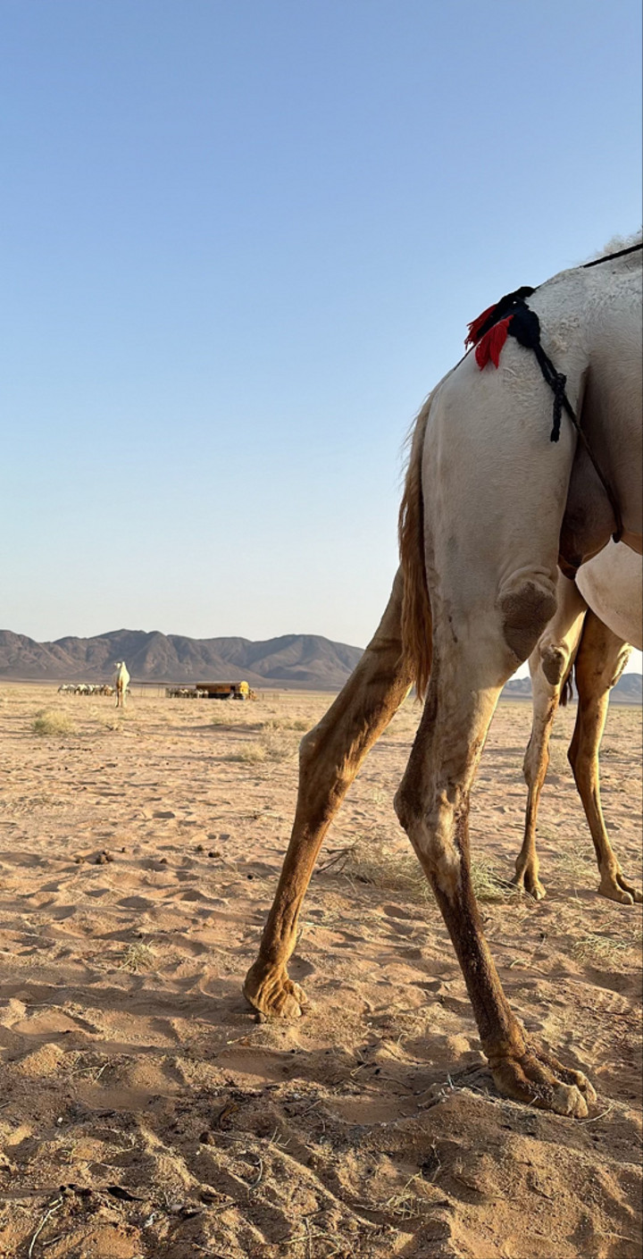 محتوى سناب شات لـ Abdulaziz Al-Moheef