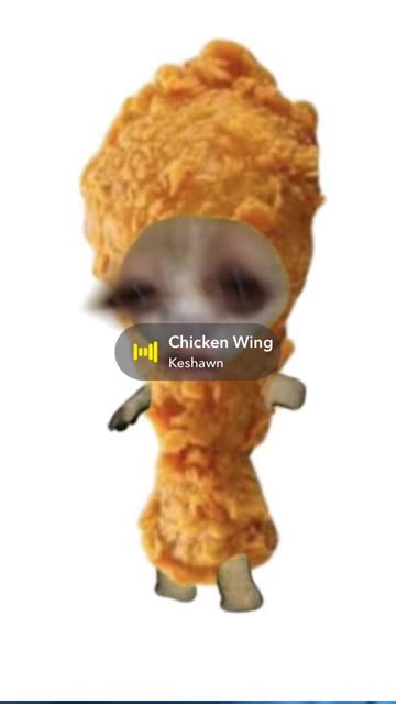 Preview for a Spotlight video that uses the chicken kitten Lens