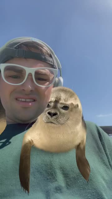 Preview for a Spotlight video that uses the Derpy Seal Lens