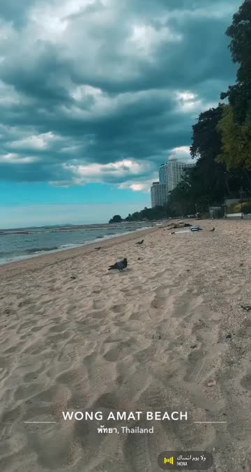 Preview for a Spotlight video that uses the Tropical Beach Lens