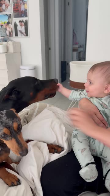 gar2official