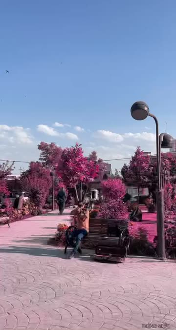 Preview for a Spotlight video that uses the purple Lens