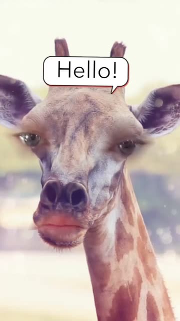 Preview for a Spotlight video that uses the Funny Giraffe Lens