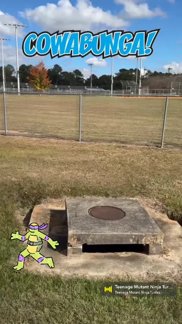 Preview for a Spotlight video that uses the turtles Lens