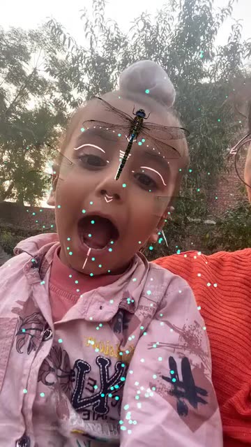 Preview for a Spotlight video that uses the INSECTS Lens