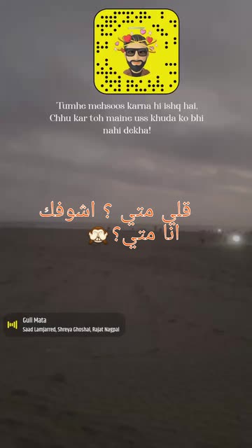 Preview for a Spotlight video that uses the Shayari11 Lens