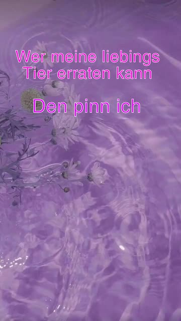 Preview for a Spotlight video that uses the purple aesthetic Lens