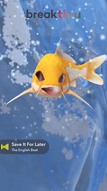 Preview for a Spotlight video that uses the BreaktFishEnergy Lens