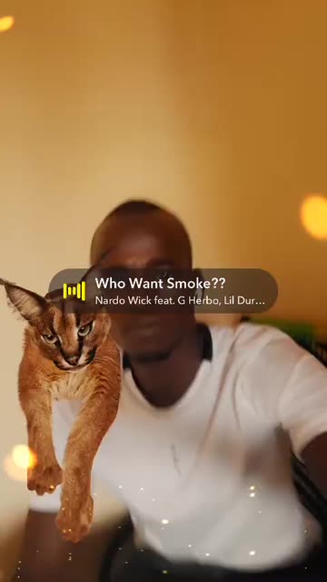 Preview for a Spotlight video that uses the Caracal Lens