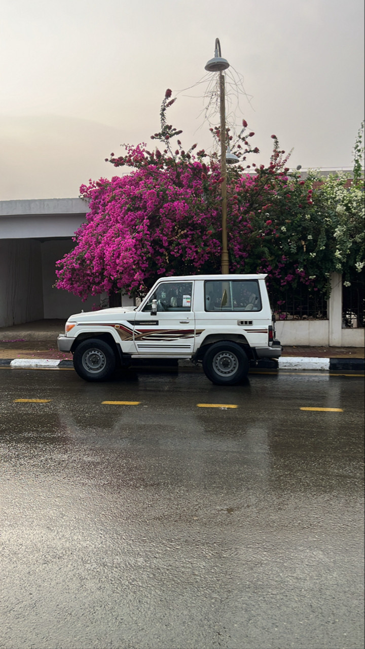 محتوى سناب شات لـ ⚑ .