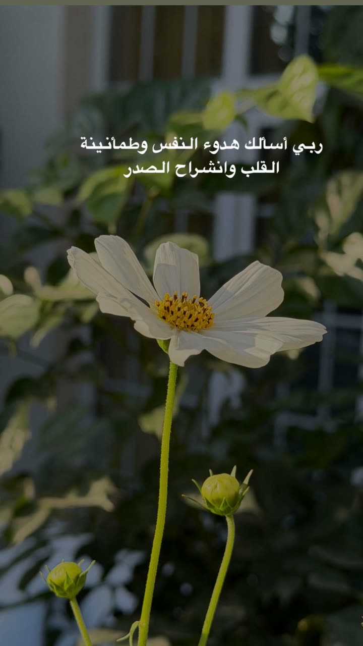 محتوى سناب شات لـ عفرا السويدي 🦋