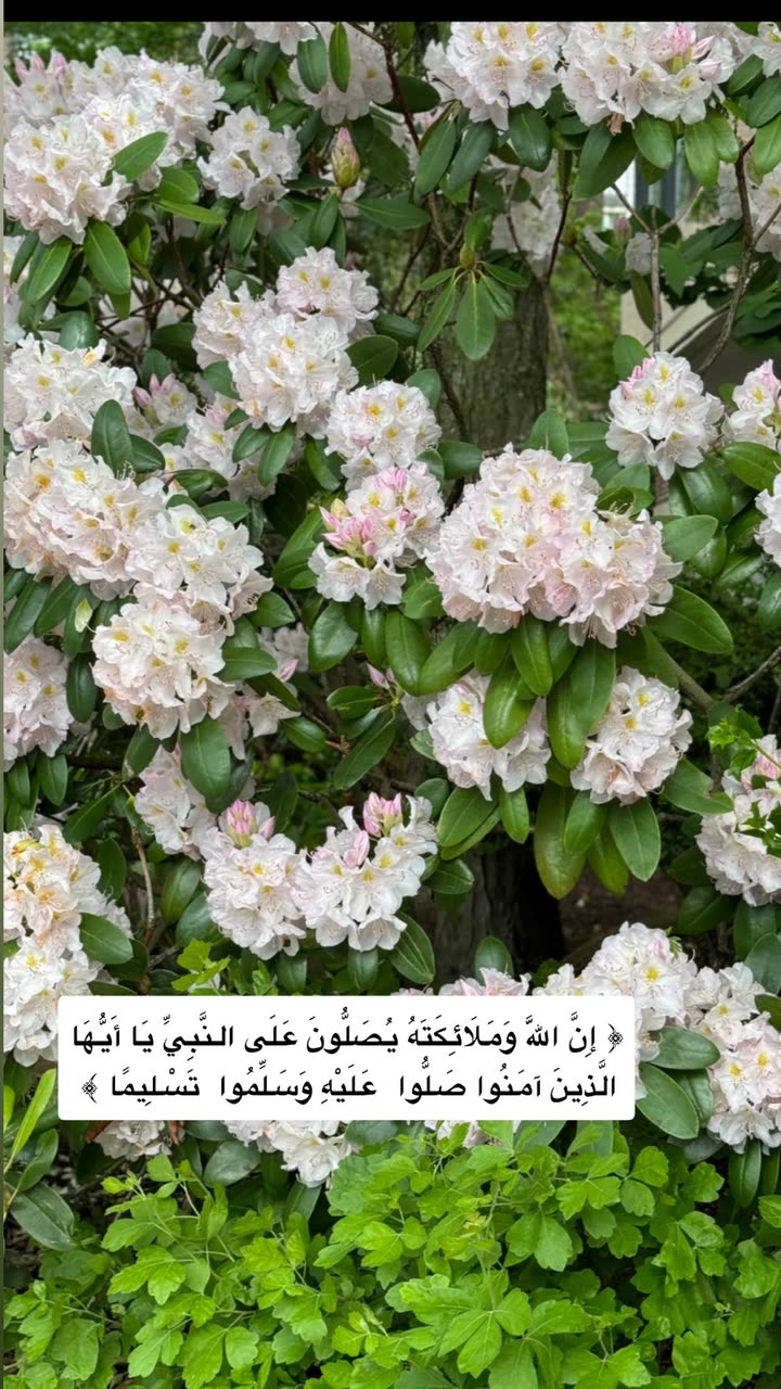 محتوى سناب شات لـ عفرا السويدي 🦋