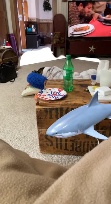 Preview for a Spotlight video that uses the Shark Week IRL Lens