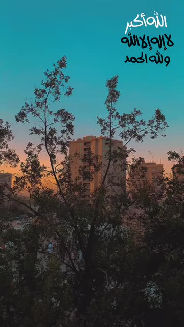 Preview for a Spotlight video that uses the VIEW presets Lens