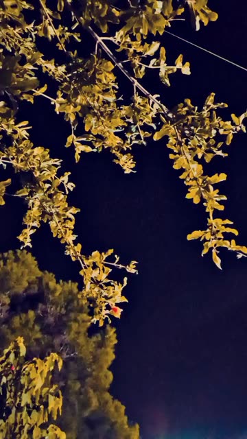 Preview for a Spotlight video that uses the View Lens