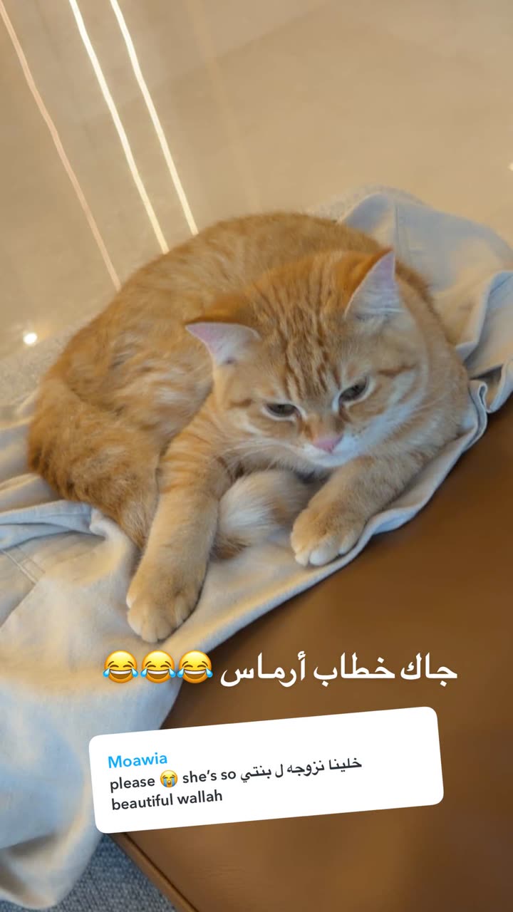 محتوى سناب شات لـ SONYA🐆🦋💎