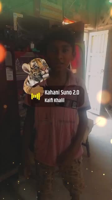 Preview for a Spotlight video that uses the Cute Tiger Lens