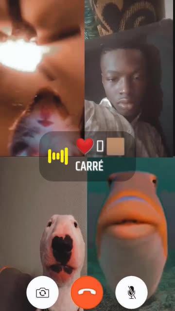 Preview for a Spotlight video that uses the VideoCall Lens