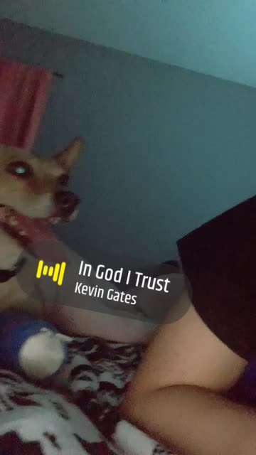 Preview for a Spotlight video that uses the Viper Glasses Lens