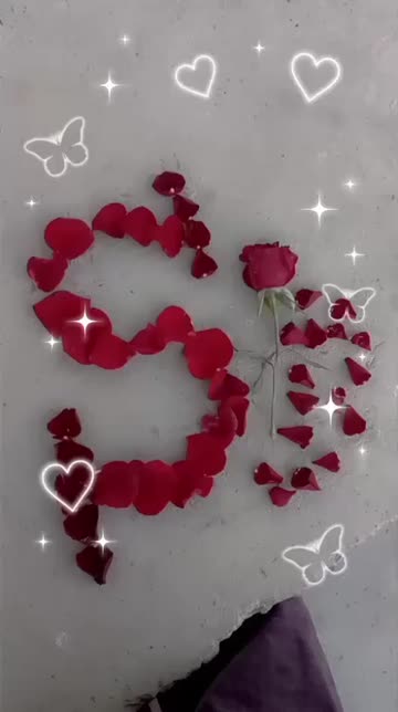 Preview for a Spotlight video that uses the  Butterfly Love Lens