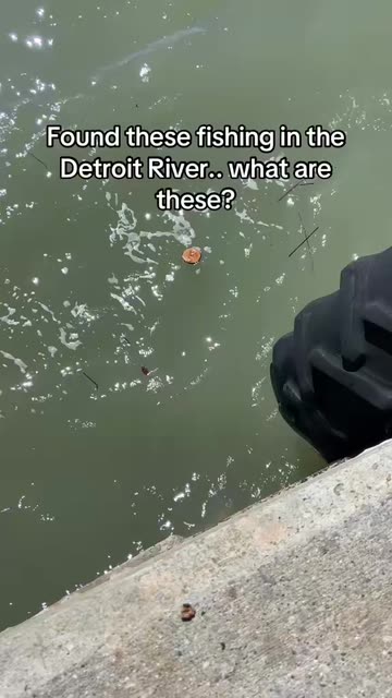 LowKeyExploring & Fishing