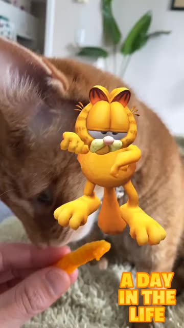 Preview for a Spotlight video that uses the Garfield Lens