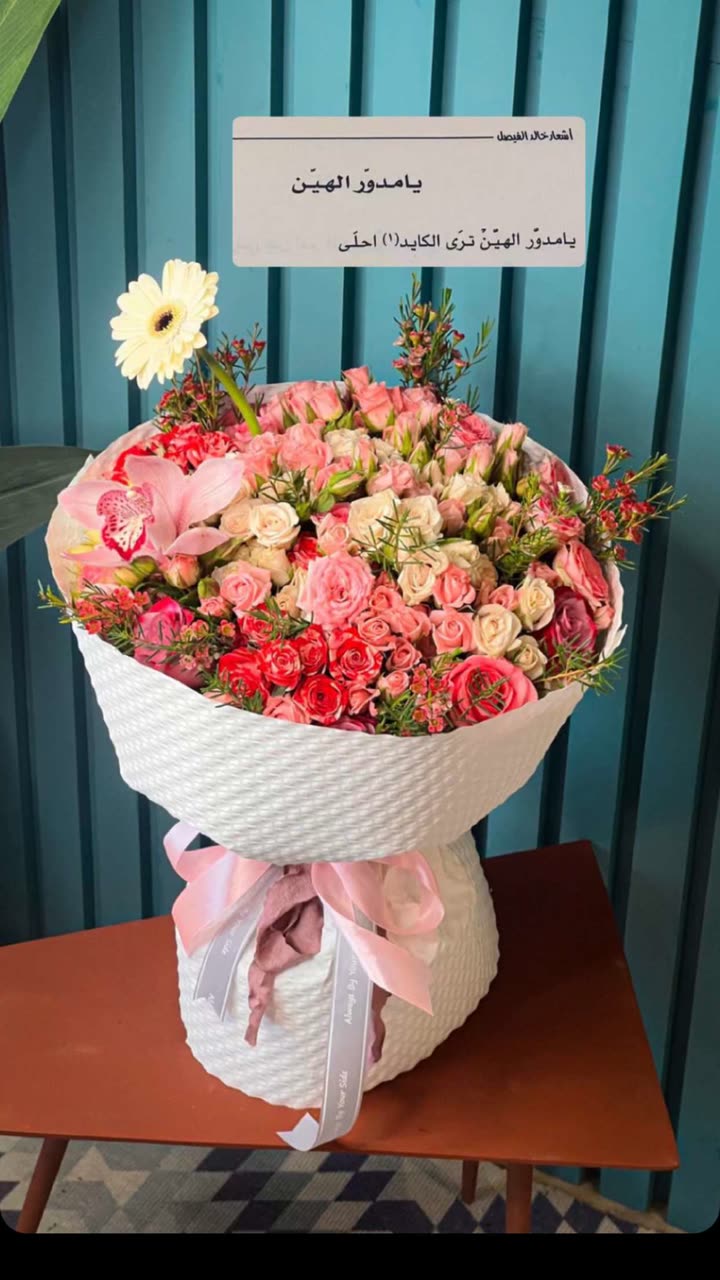 قصة سناب شات للحساب a95.77 رقم 208