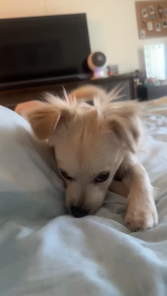 daisyviiee
