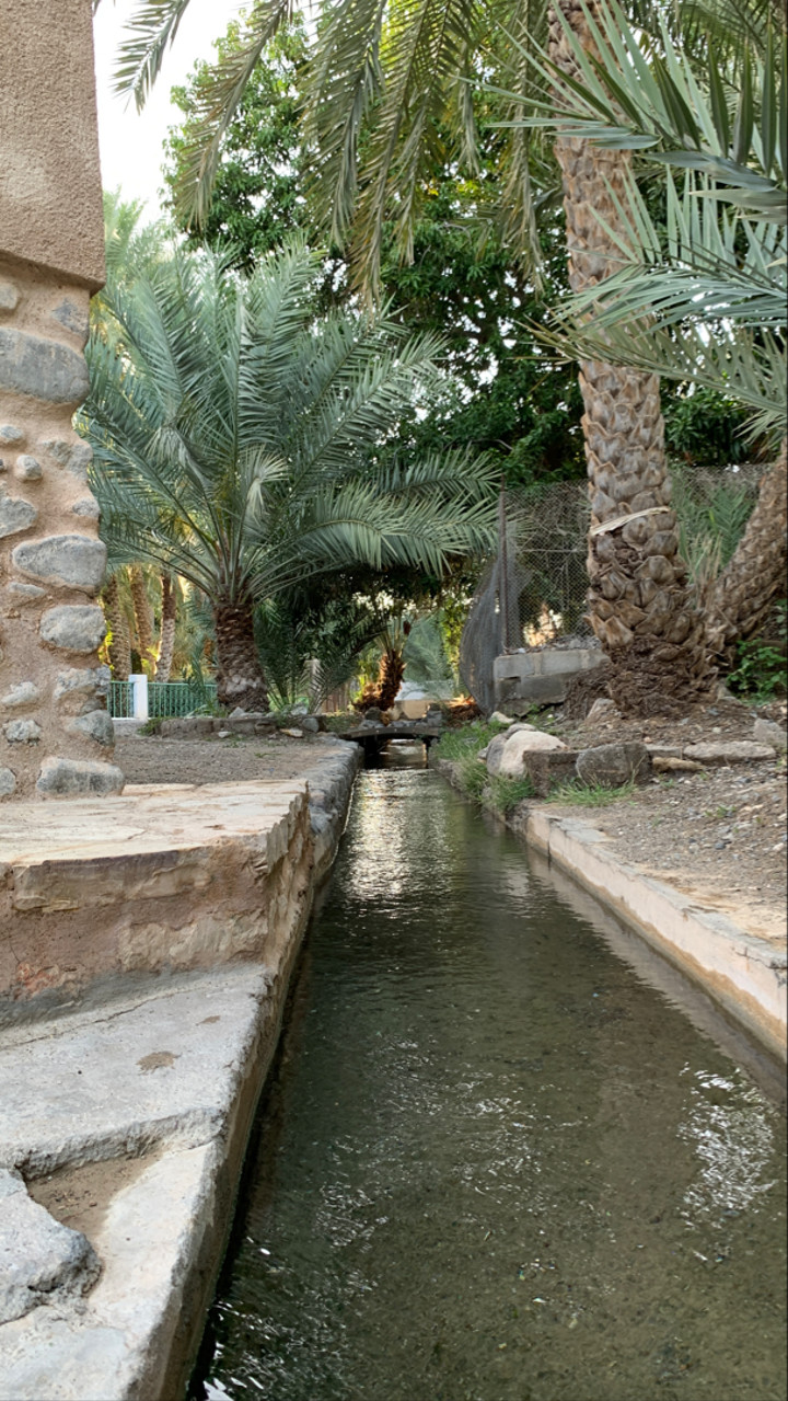 محتوى سناب شات لـ A٢H 📿.