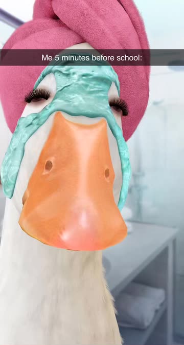 Preview for a Spotlight video that uses the Relaxed Duck Lens