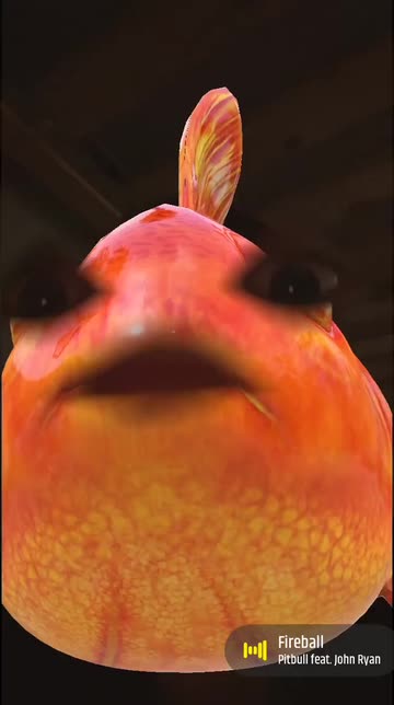 Preview for a Spotlight video that uses the GoldFish Lens