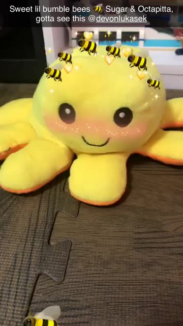 Preview for a Spotlight video that uses the Bumble Bee Lens