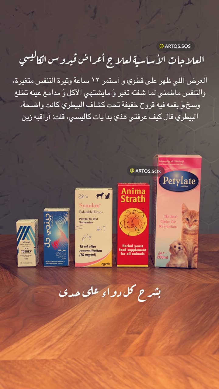 محتوى سناب شات لـ Artos الأقرب للطبيعة🌱