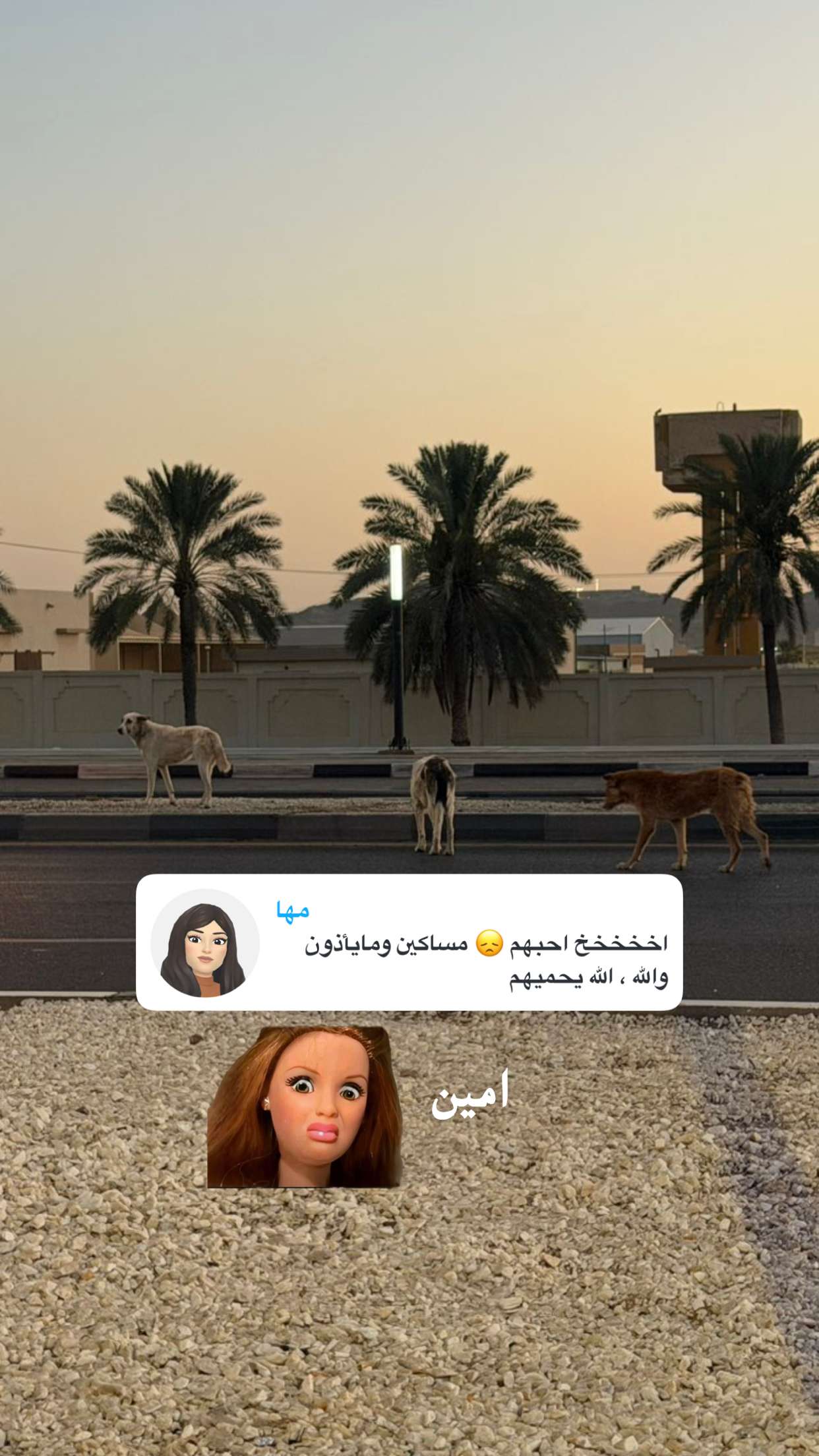 محتوى سناب شات لـ امجاد المهنا 🧸