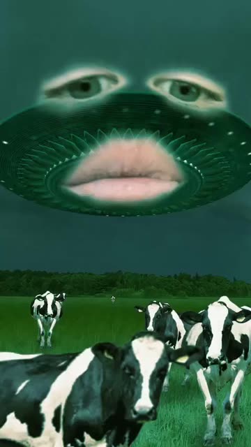 Preview for a Spotlight video that uses the Cows and Aliens Lens