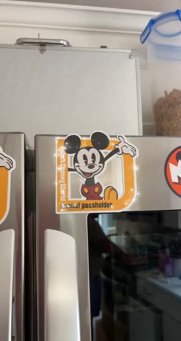 Preview for a Spotlight video that uses the Mickey Magnet Lens