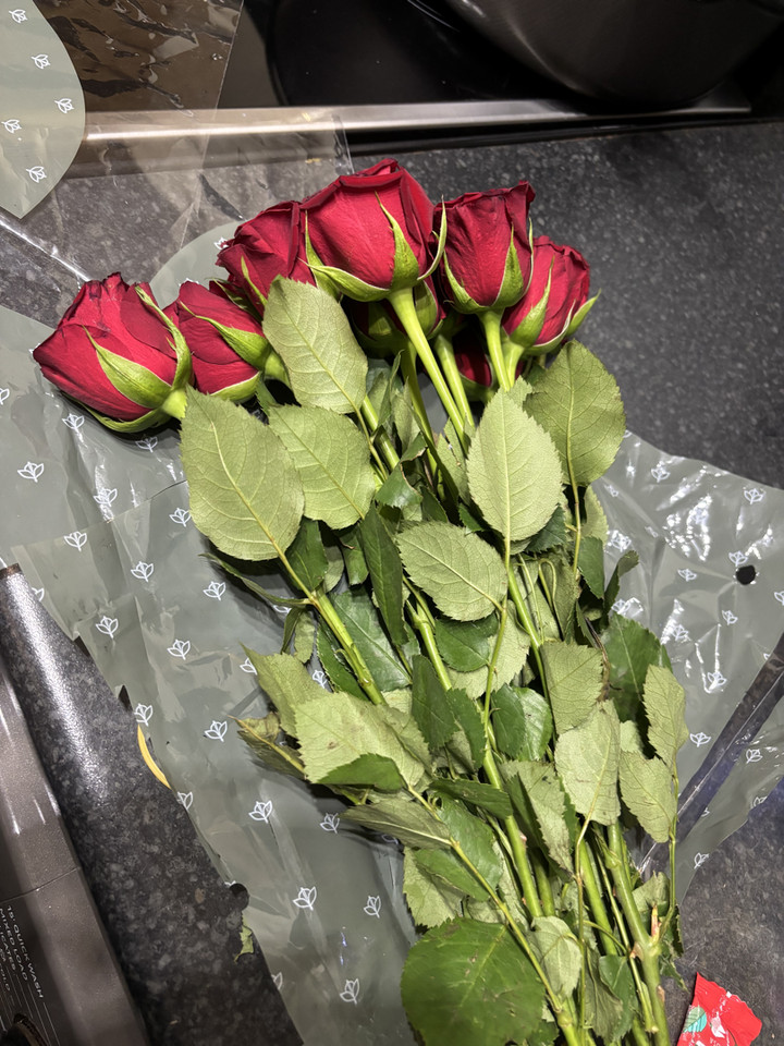 محتوى سناب شات لـ ٭ंجــاني
