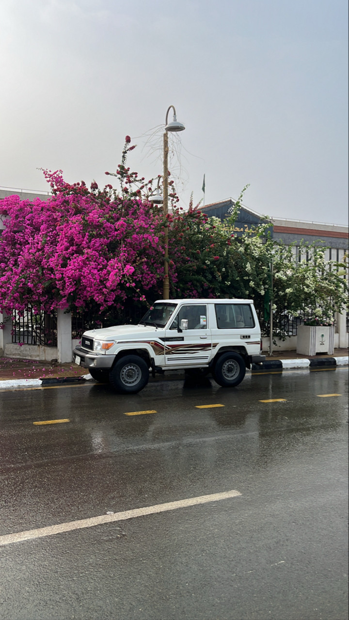 محتوى سناب شات لـ ⚑ .