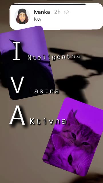 Preview for a Spotlight video that uses the Motion Lowlight Lens