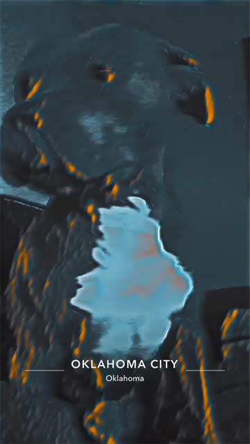 Preview for a Spotlight video that uses the ML Liquid steel Lens