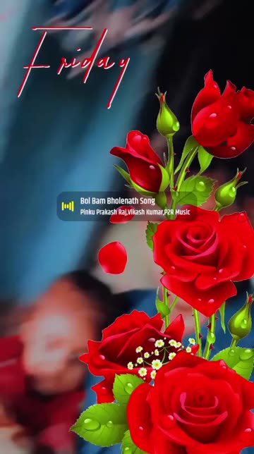 Preview for a Spotlight video that uses the Day Red Flowers Lens