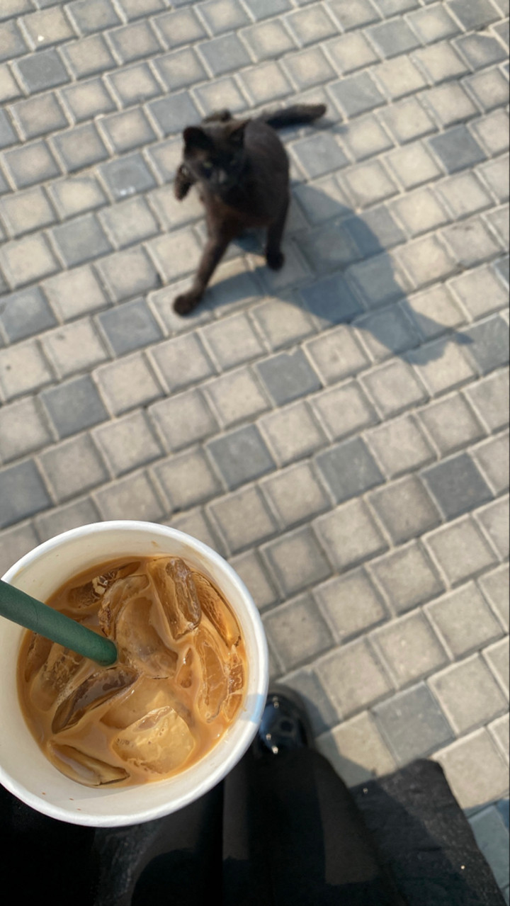 محتوى سناب شات لـ أميرةعبدالعزيز🇸🇦