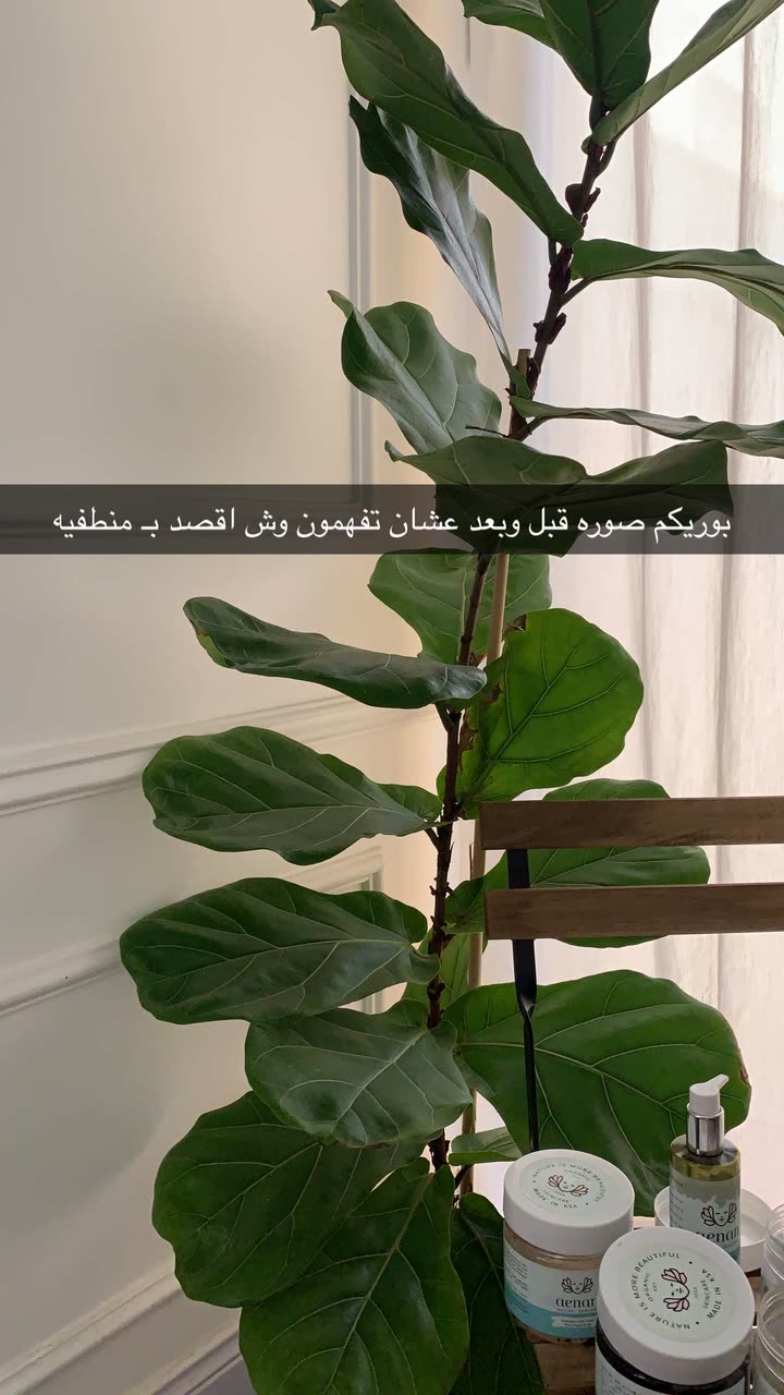 محتوى سناب شات لـ Shmowkh 🍃🎼🐺