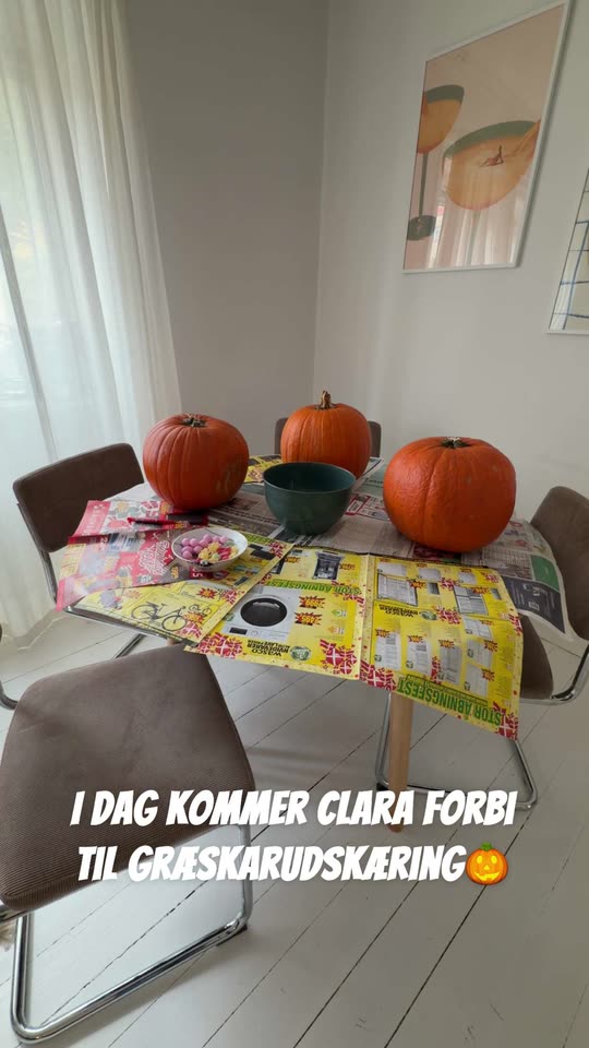 xenia_xenia