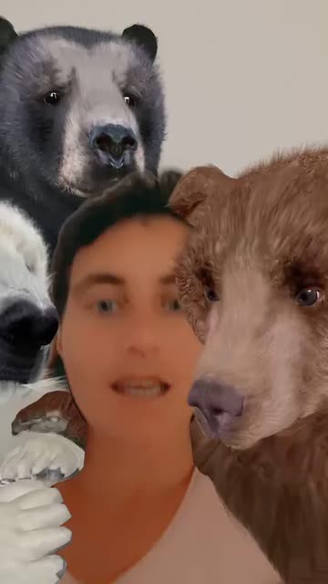Preview for a Spotlight video that uses the 3 Little Bears Lens