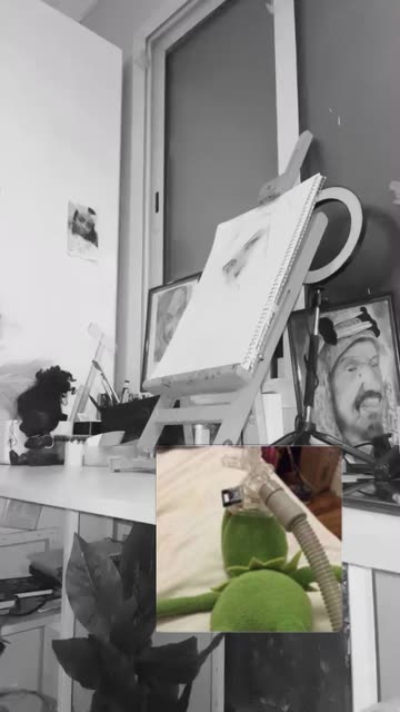 Preview for a Spotlight video that uses the black white beauty Lens