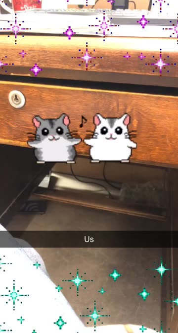 Preview for a Spotlight video that uses the Hamster Dance 2 Lens