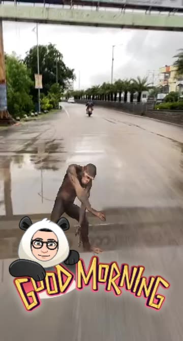 Preview for a Spotlight video that uses the Monkey Dance Lens