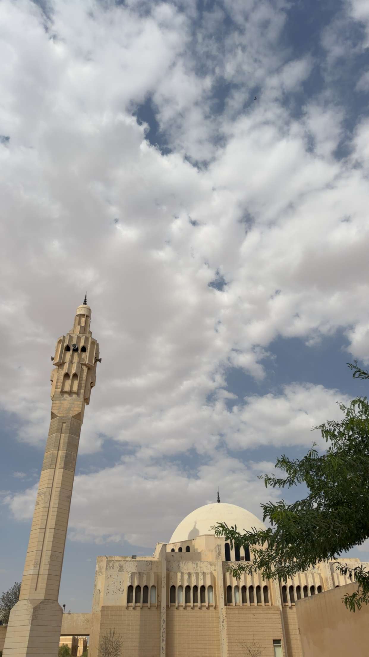 محتوى سناب شات لـ َ